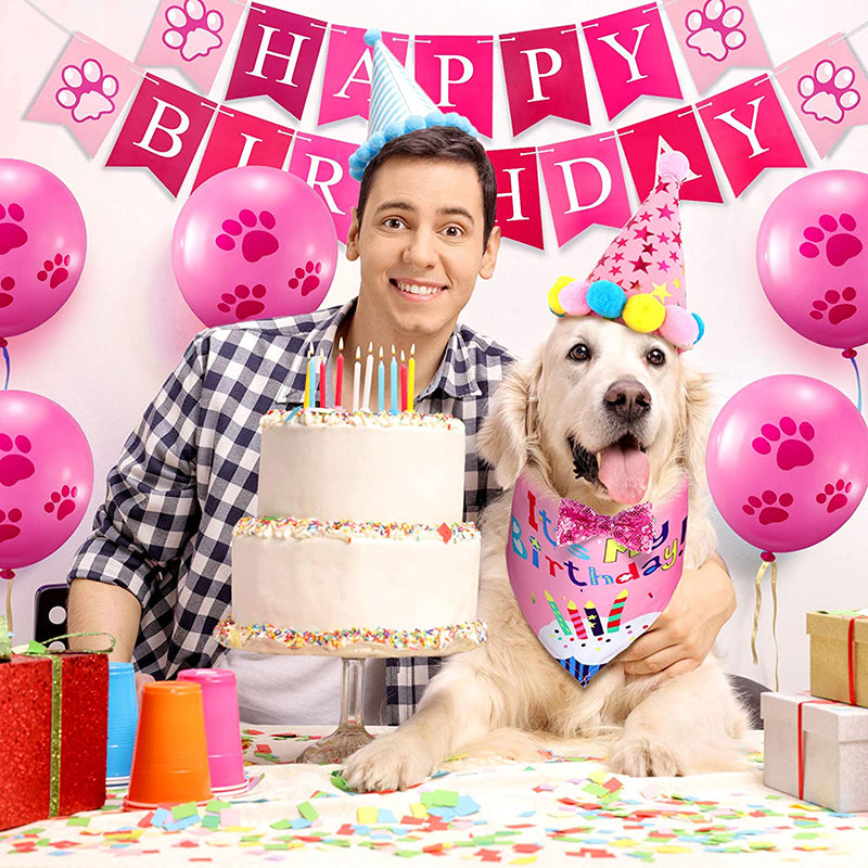 Happy Birthday Dog Supplies